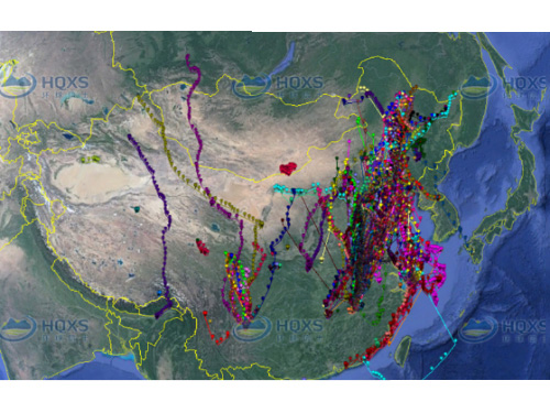 2018年2月东方白鹳迁徙追踪 2018年2月东方白鹳迁徙追踪