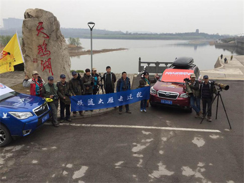 2016年3月守护候鸟迁徙 2016年3月守护候鸟迁徙