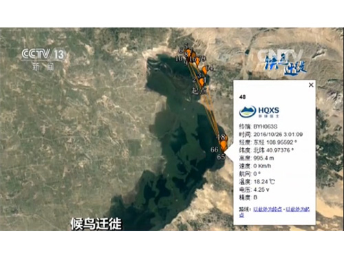 2016年我们与大天鹅一同前行 2016年我们与大天鹅一同前行