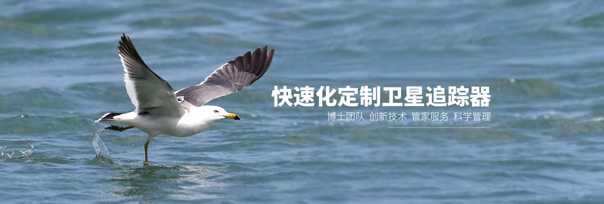 国产福利一区二区三区在线视频-538任你爽精品视频国产-亚洲精品国产乱码不卡-色噜噜国产99性色内射-做A爰片久久毛片A片的价格_湖南野生动物追踪|湖南卫星追踪器 国产福利一区二区三区在线视频-538任你爽精品视频国产-亚洲精品国产乱码不卡-色噜噜国产99性色内射-做A爰片久久毛片A片的价格_湖南野生动物追踪|湖南卫星追踪器